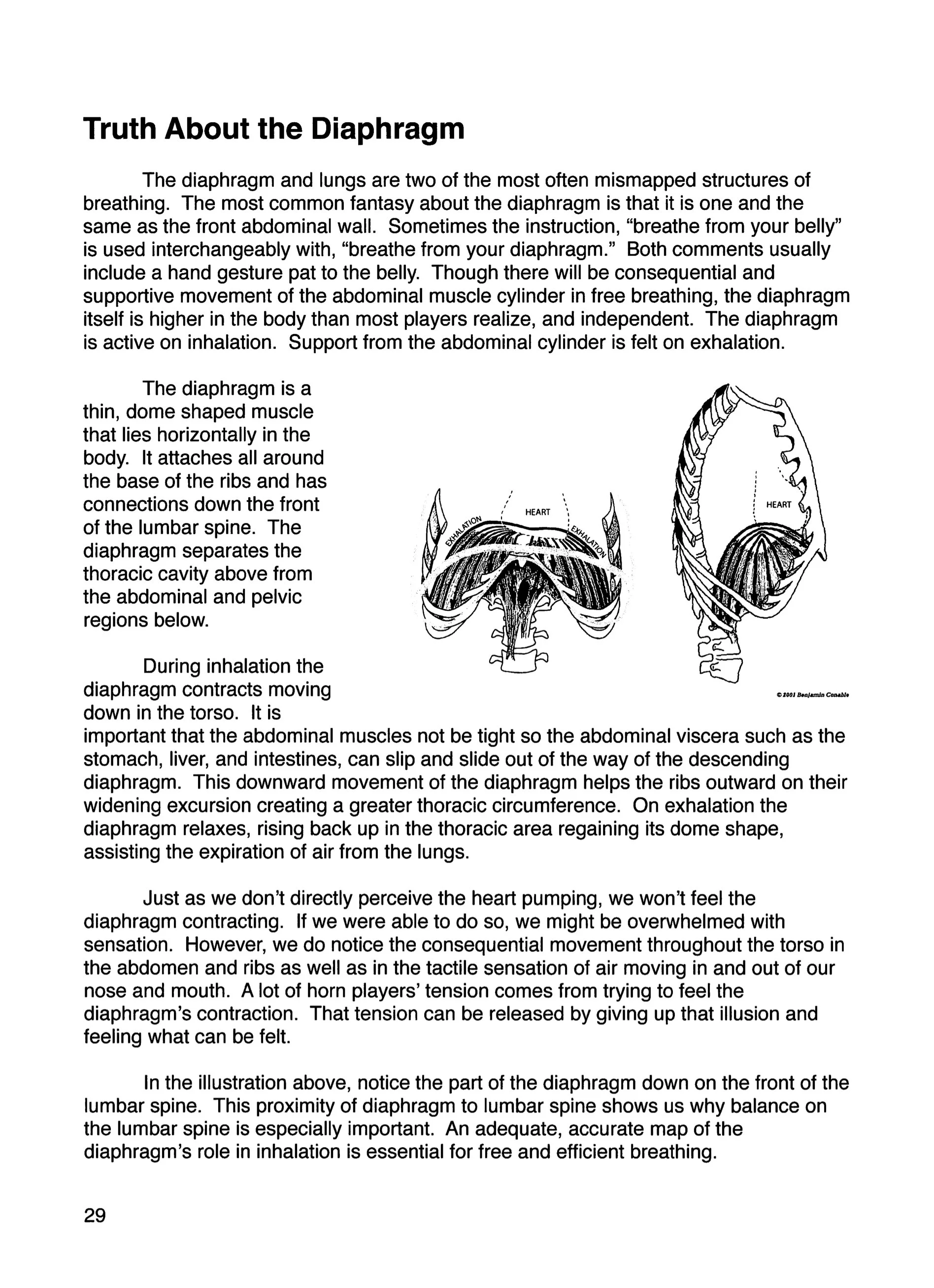 Page from The Breathing Book by David Nesmith: Truth About the Diaphragm