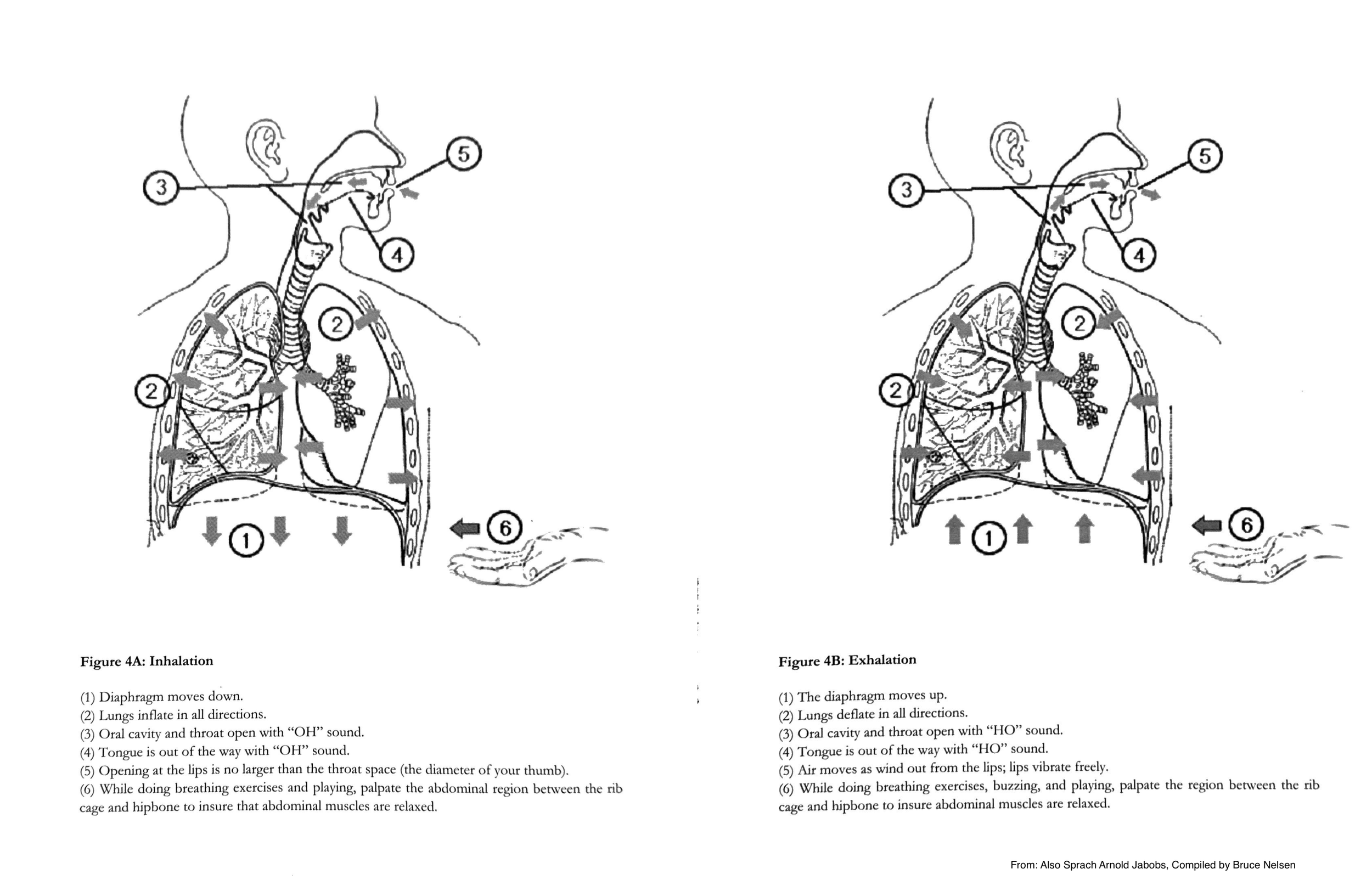 Figure 4A: Inhalation and Figure 4B: Exhalation diagrams from Also Sprach Arnold Jacobs, compiled by Bruce Nelsen