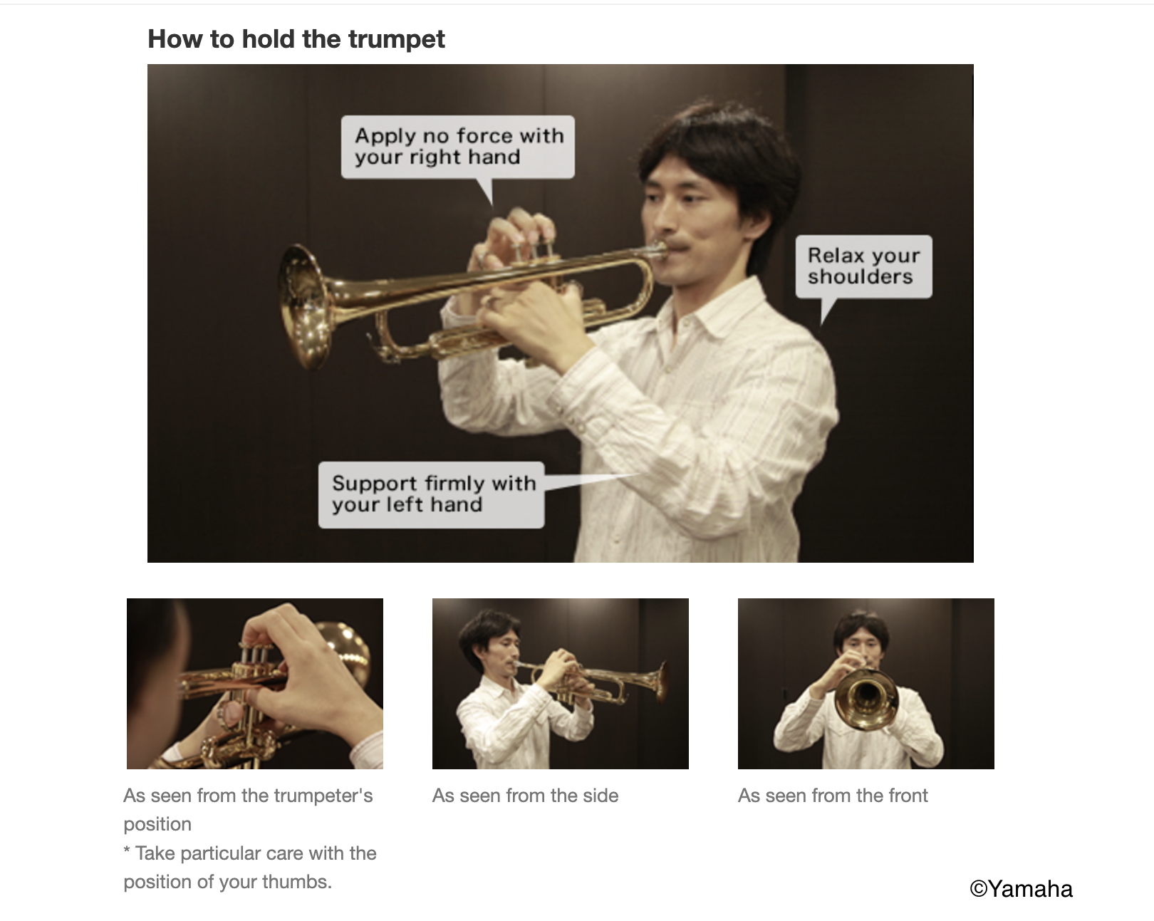 Trumpet embouchure reference