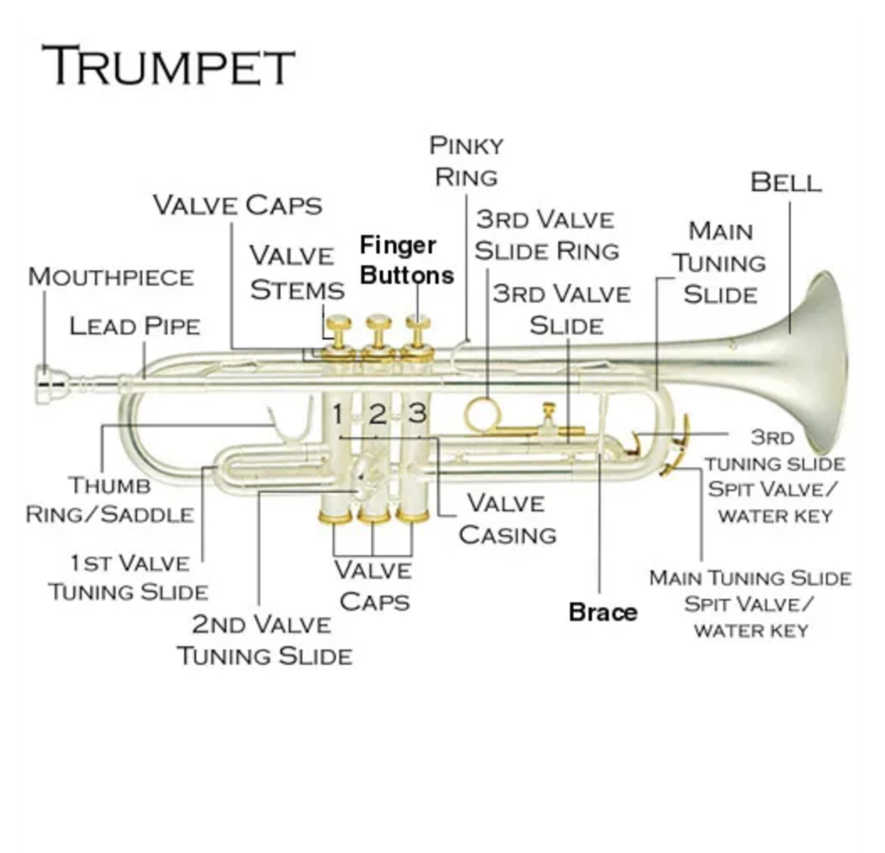 Picture of trumpet showing parts