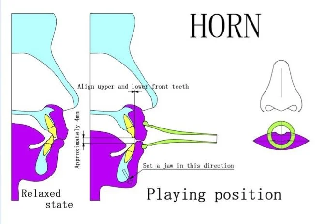 Horn photograph
