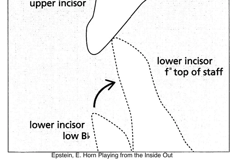 Jaw position diagram showing upper incisor and lower incisor positions for low Bb and high f''
