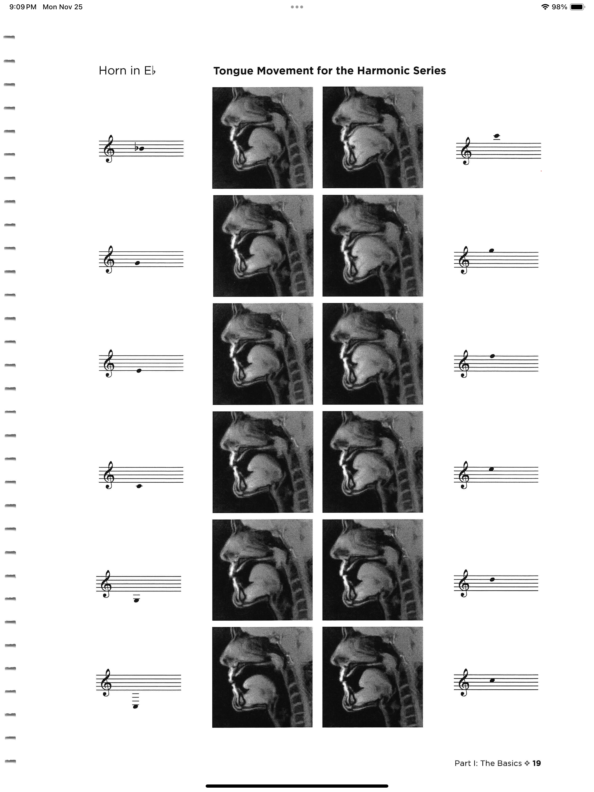 Tongue Movement for the Harmonic Series — MRI images showing tongue position at different pitches in the harmonic series for Horn in Eb