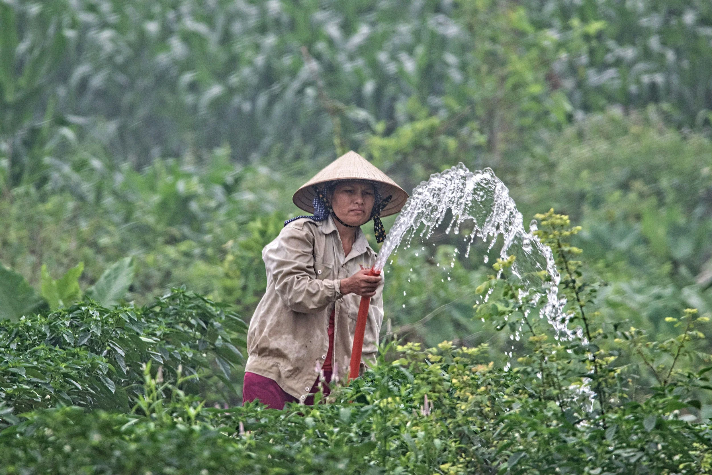 Person watering plants with a hose, illustrating continuous airflow metaphor