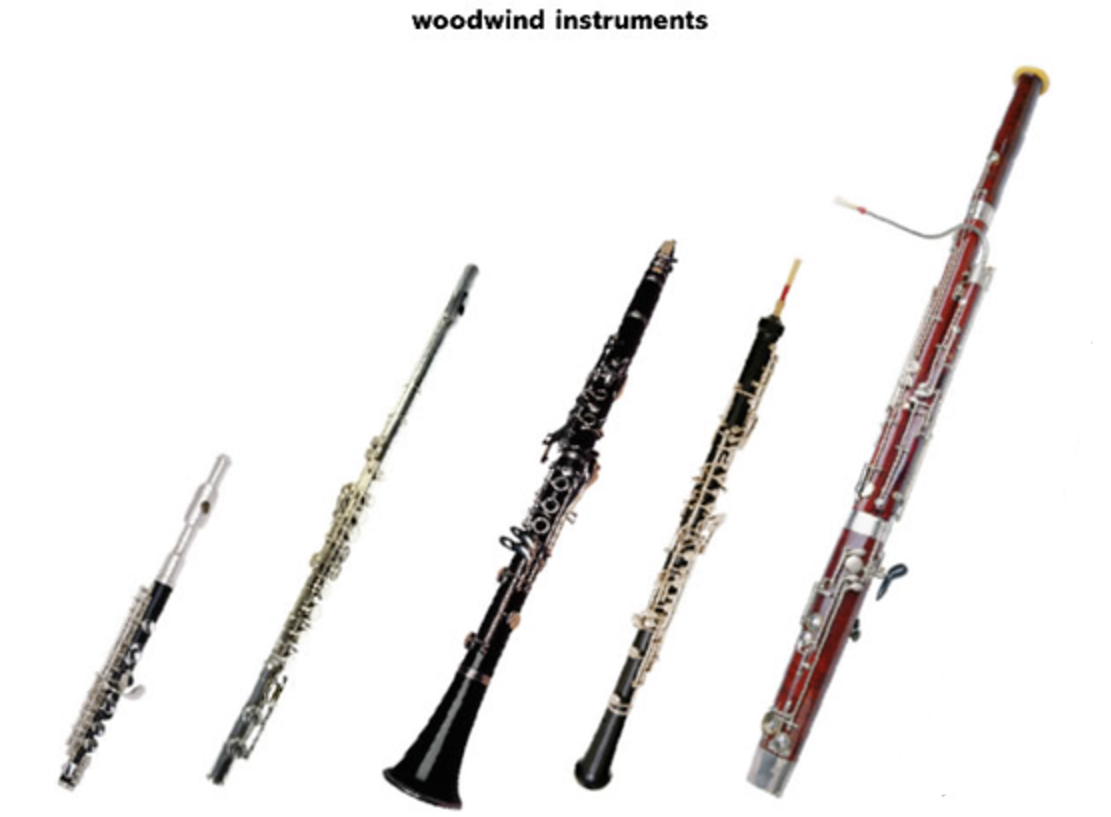 Woodwind instrument family diagram