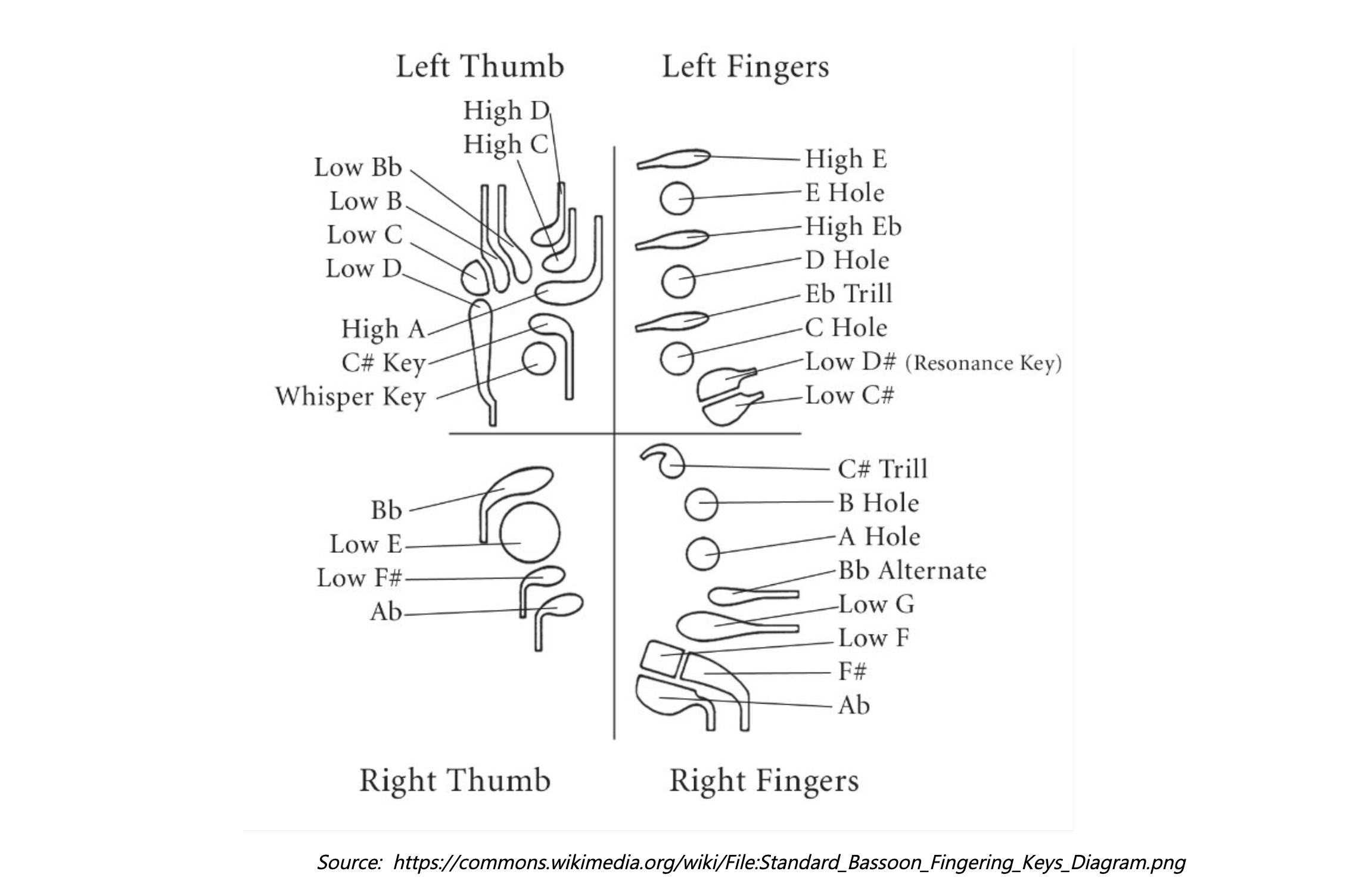 Standard bassoon fingering keys diagram showing left and right thumb and finger positions