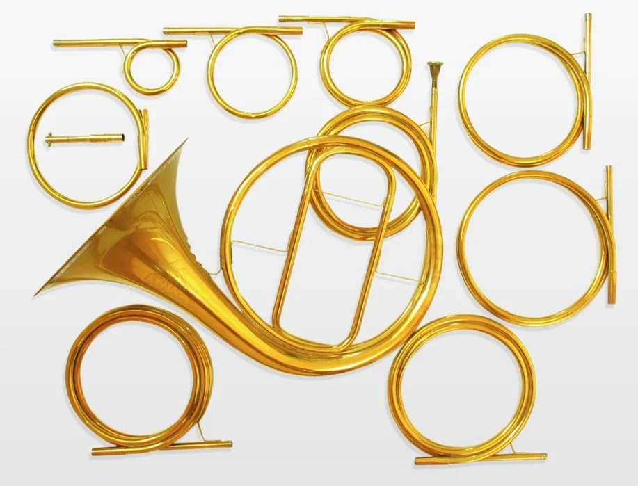 Collection of natural horns with various crooks