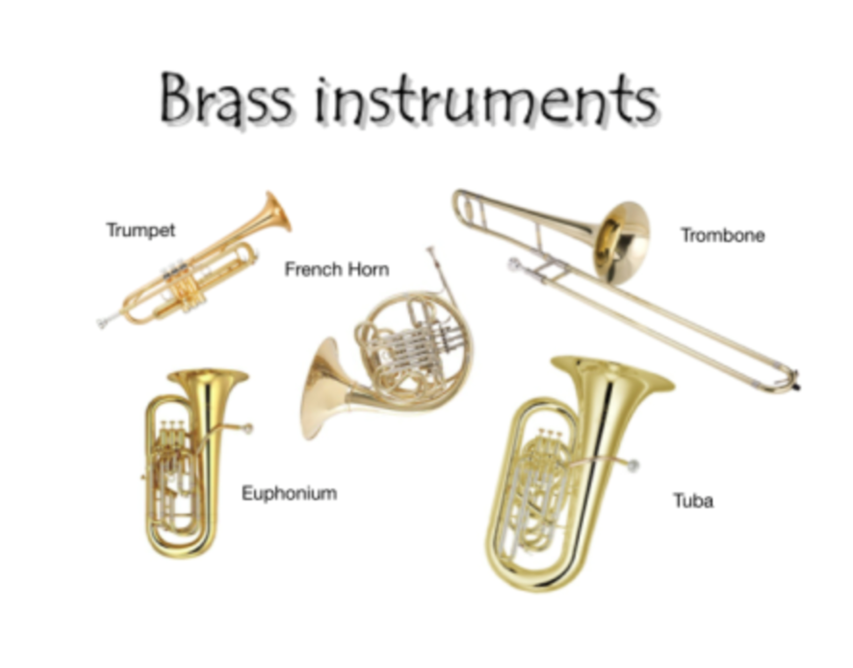 Brass instrument family — trumpet, horn, trombone, euphonium, and tuba