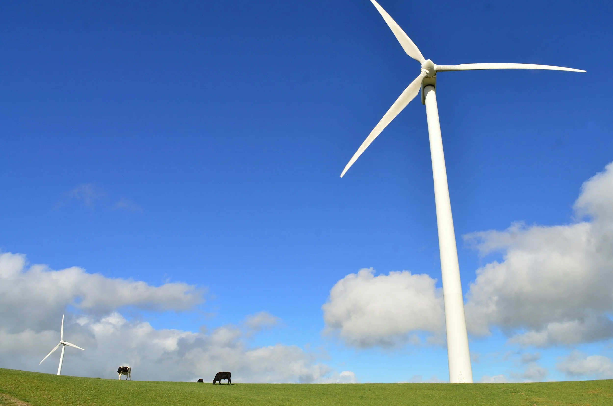 Wind turbines in a pastoral landscape