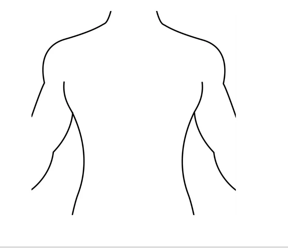 Outline of a human torso for anatomy labeling